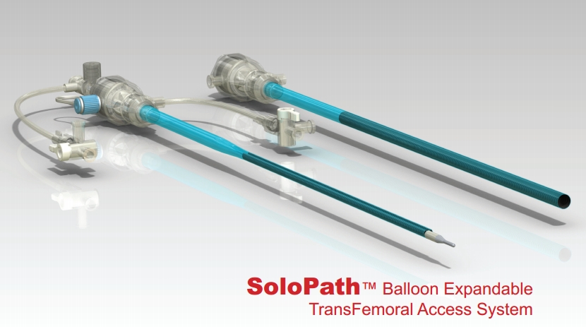 Solopath sheath from Onset medical corporation